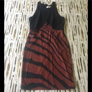 Roberto Cavalli Zebra Print Crepe Dress